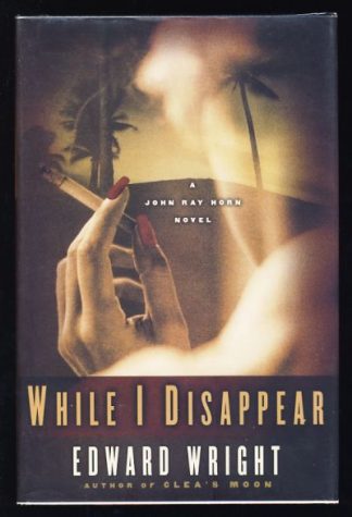 While I Disappear